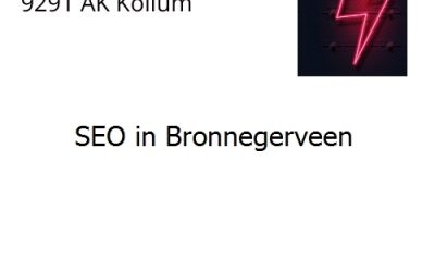 SEO in Bronnegerveen
