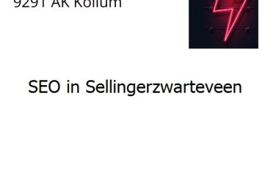 SEO in Sellingerzwarteveen