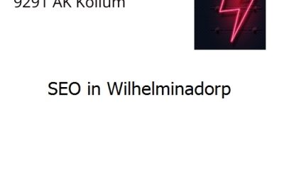 SEO in Wilhelminadorp
