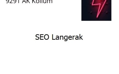 SEO Langerak