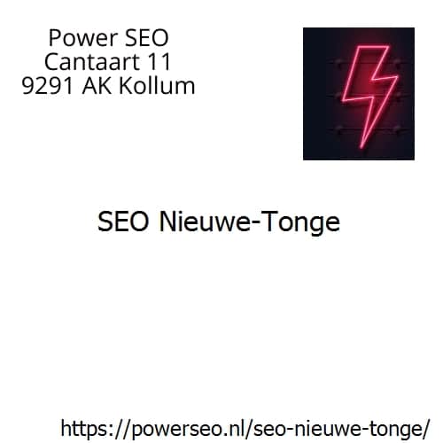 SEO Nieuwe-Tonge